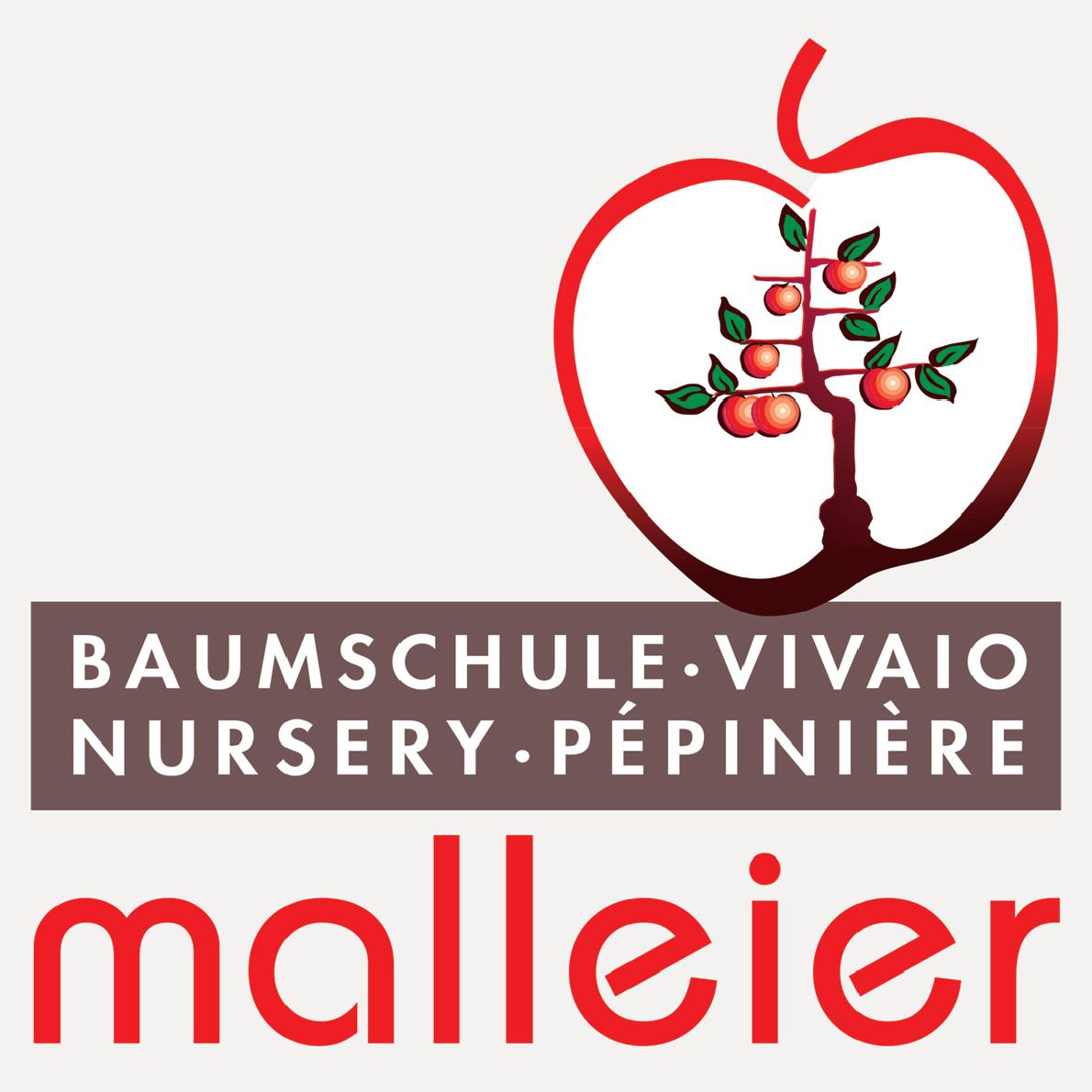 Baumschule Malleier Neu Logo_Quadrat_200x200_2020-1