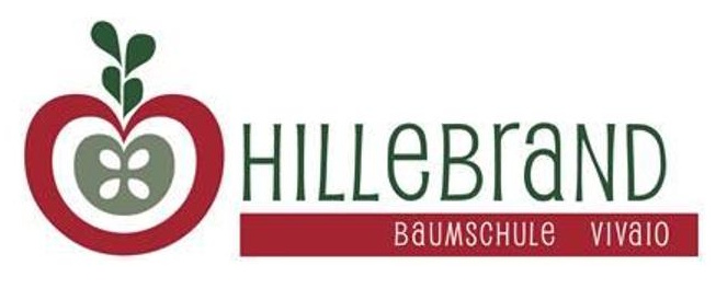 Logo Baumschule Hillebrand-1